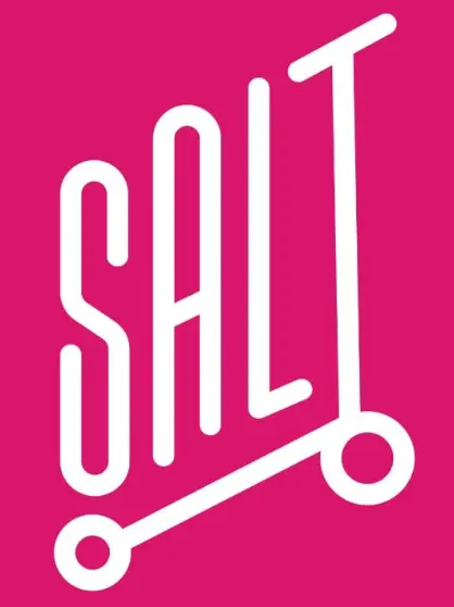 TimeSalt logo